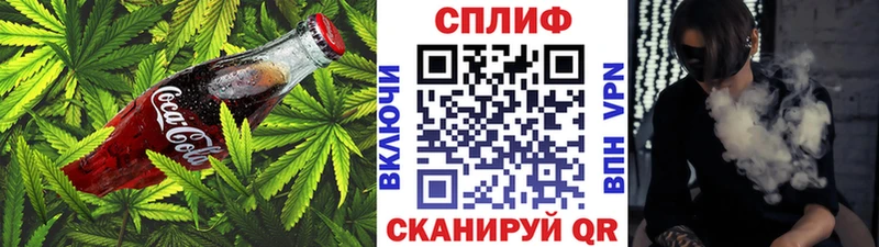 Купить закладки Апрелевка Cannafood конопля