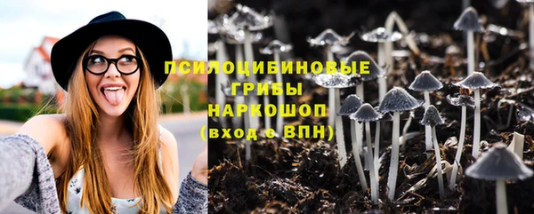 шишки Нефтегорск