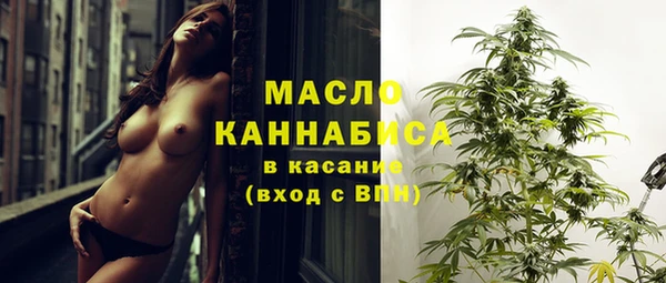 apvp Михайлов