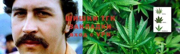 гашик Нея